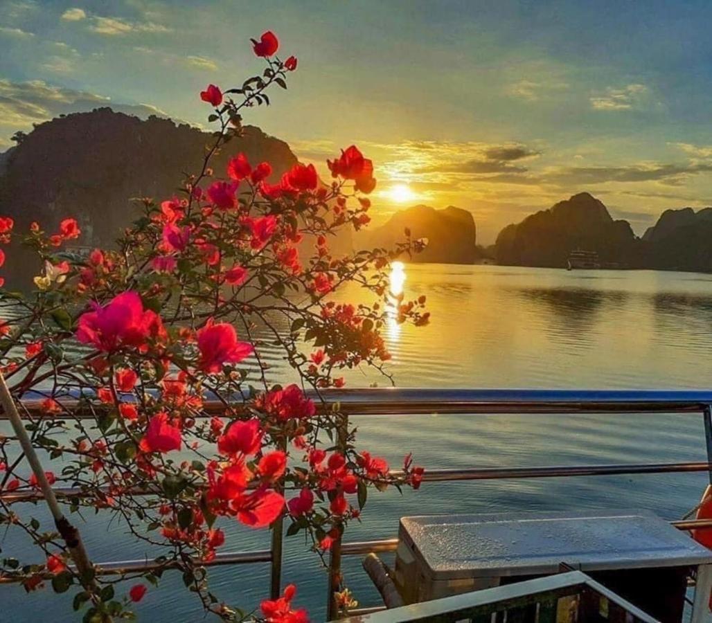 Nhat Anh Hotel Cat Ba Dong Khe Sau Esterno foto